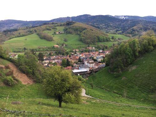 foto5
