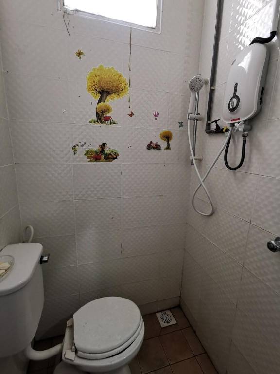 foto11