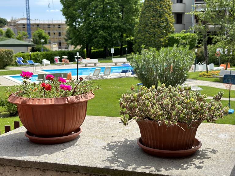 foto20
