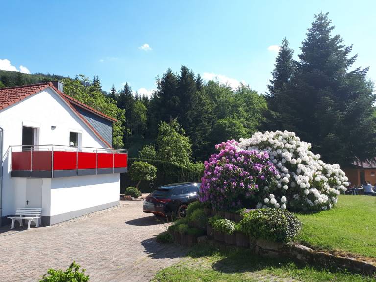 foto13