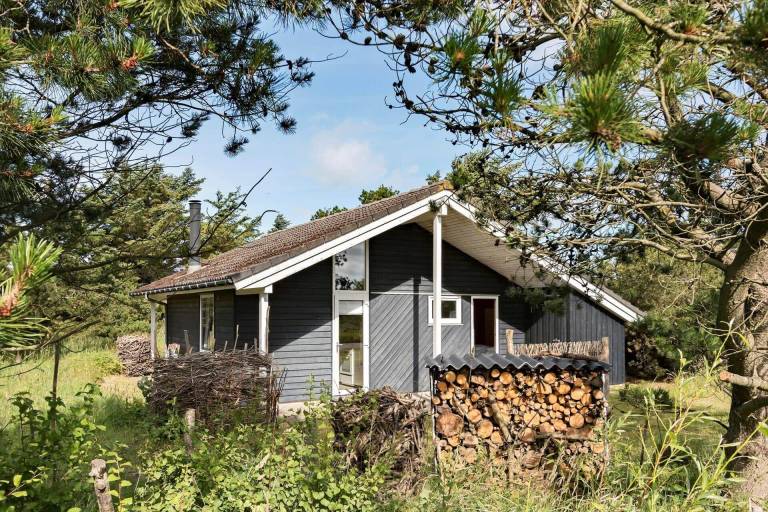 Feriehus  Hirtshals
