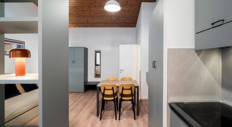 Serviced apartment with yard | Pet-friendly — photo 3