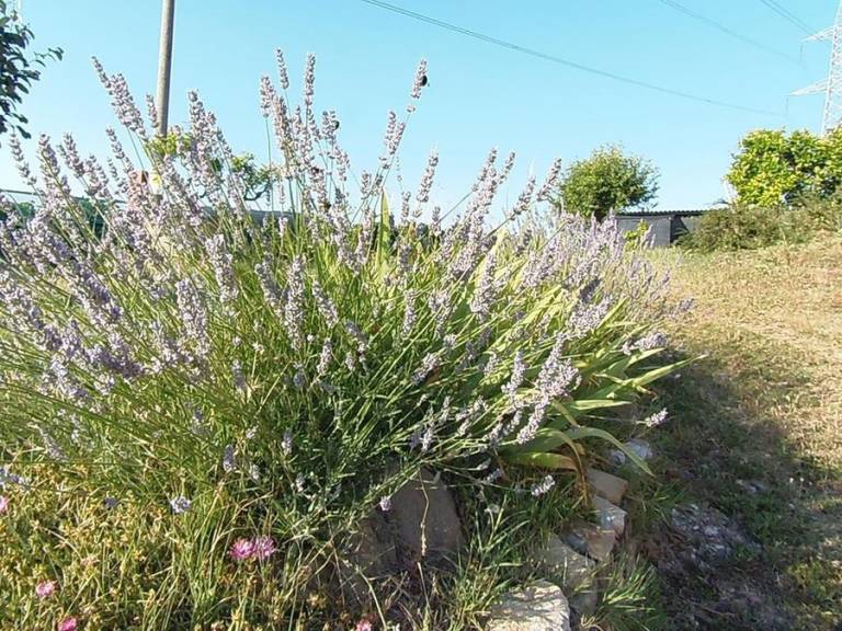 foto22