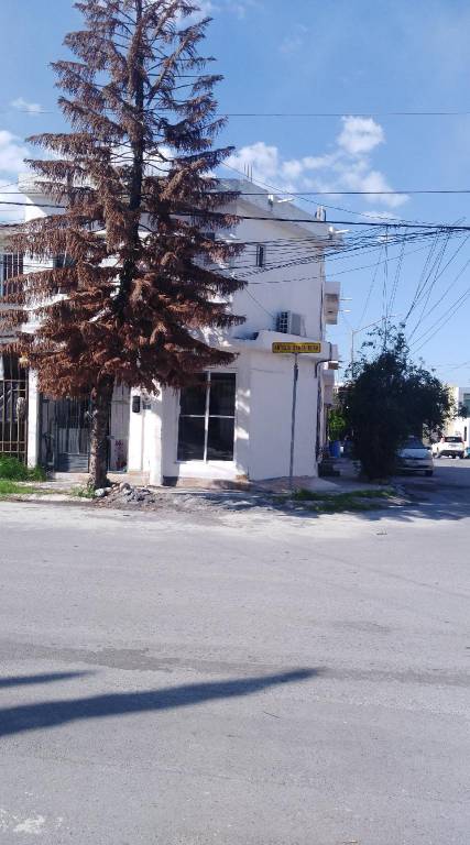 foto5