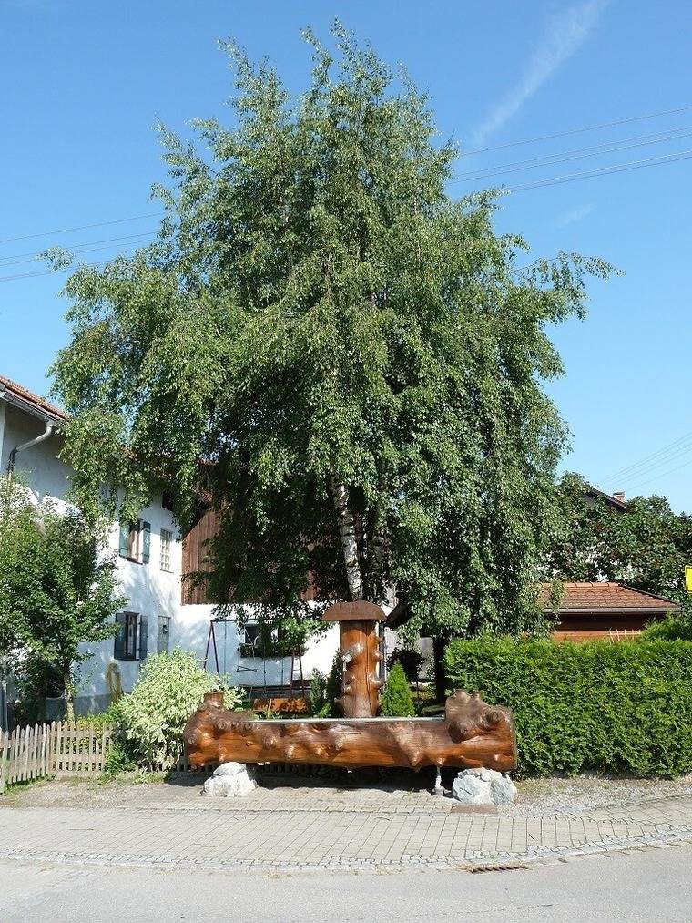 foto17