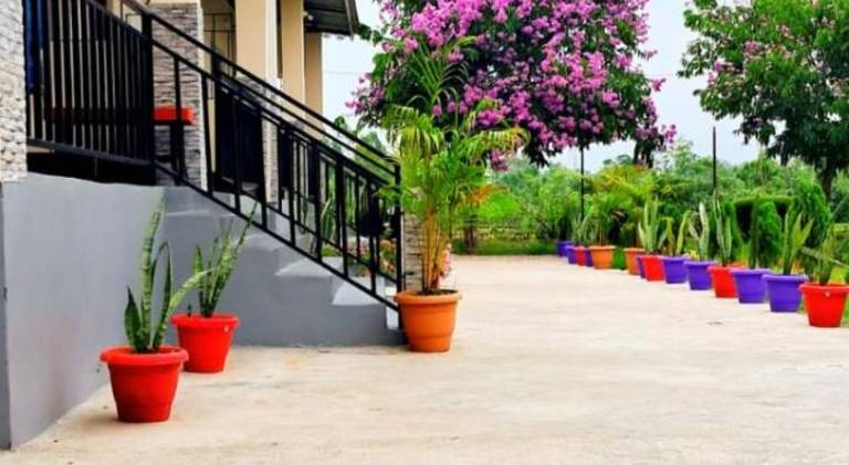 Krishna Farms and Village Resort — photo 3