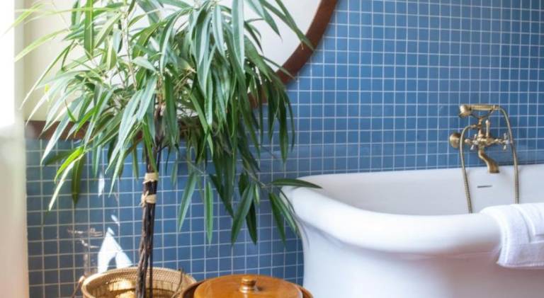 Bed and breakfast Saint-Victor
