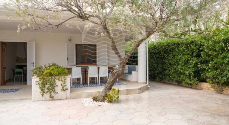 Apartment | Close to the beach | Dogs allowed — photo 2
