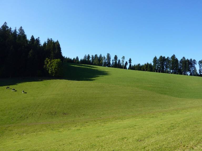 foto17