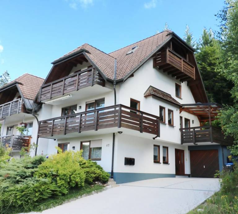 Ferienhaus  Hinterzarten