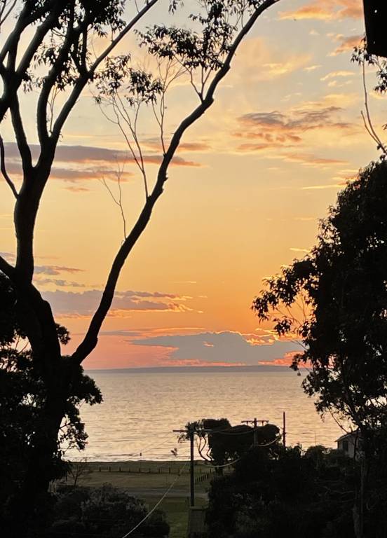 Apartment  Saint Leonards
