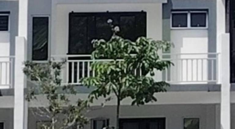foto11