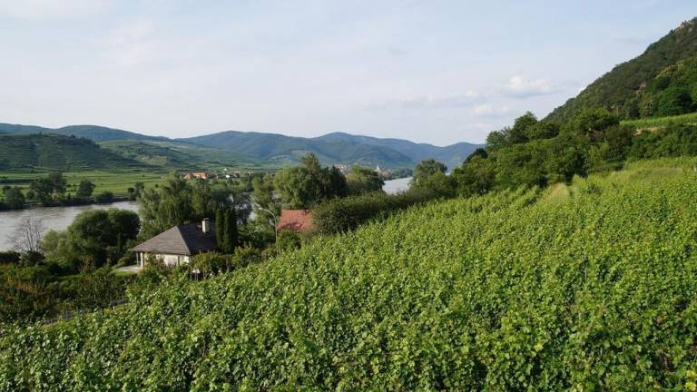 Ferienwohnung  Gemeinde Schönbühel-Aggsbach