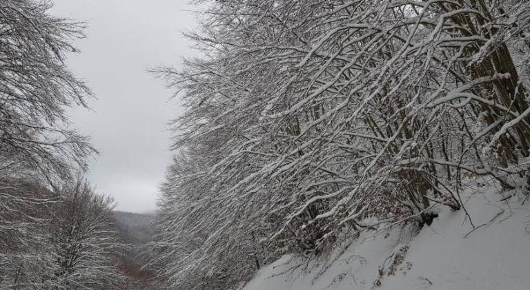 Appartamento Civitella Alfedena