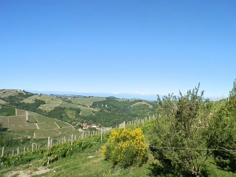 foto35