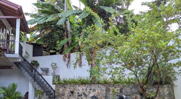 Rental apartment with garden | Perfect for remote work — photo 5