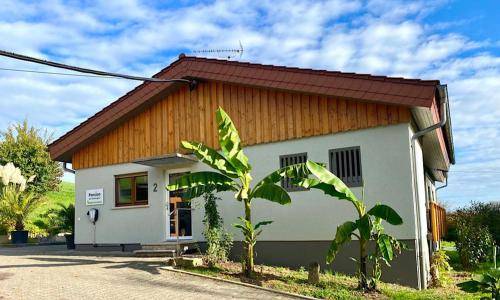 House  Leimen