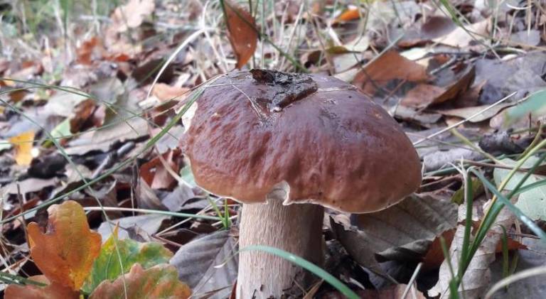 foto45
