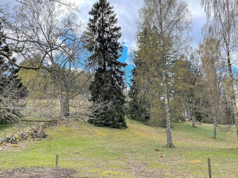 foto14
