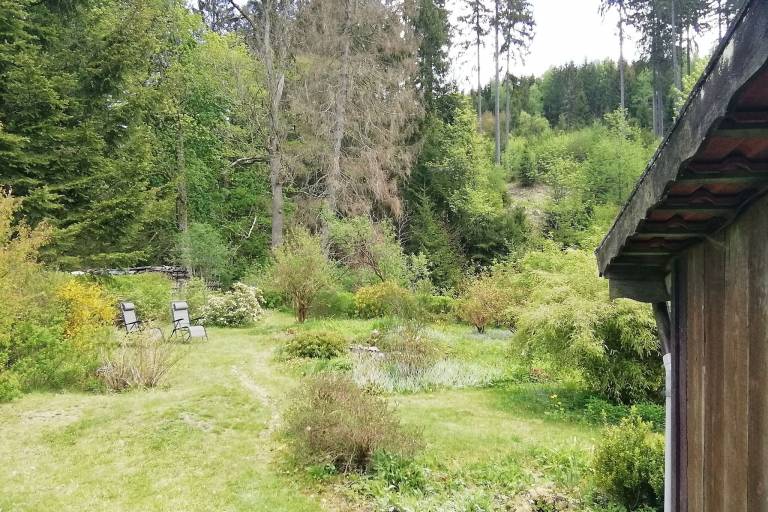 foto16
