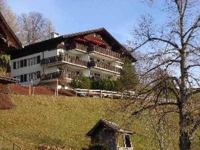 foto1