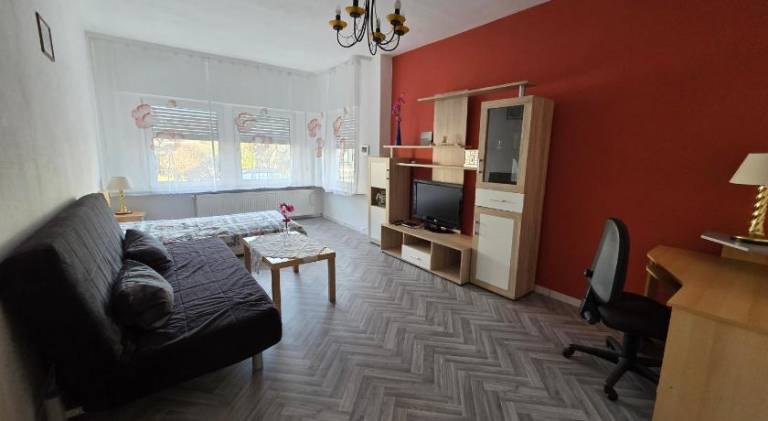foto1