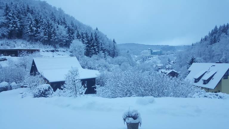 foto12