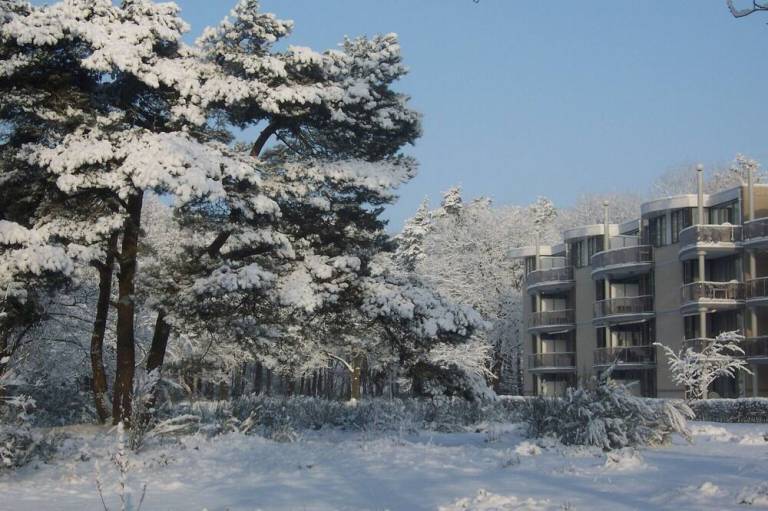 foto15
