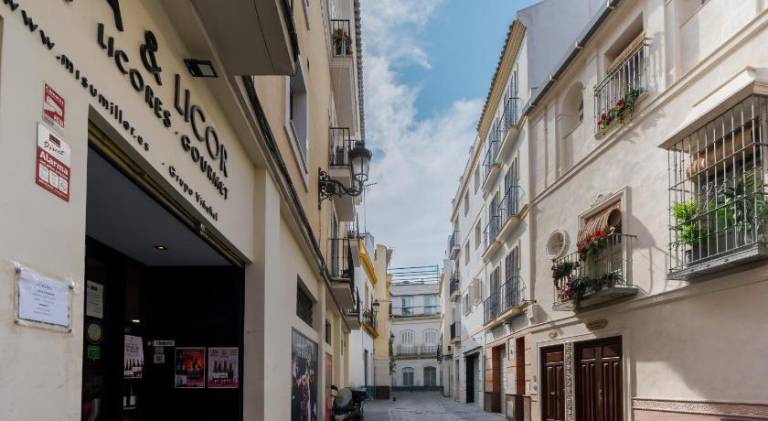Fully equipped apartment with terrace | Near Seville Cathedral | Pet-friendly — photo 3