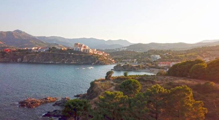 Nice rental apartment | Next to the beach | Dogs allowed in Collioure