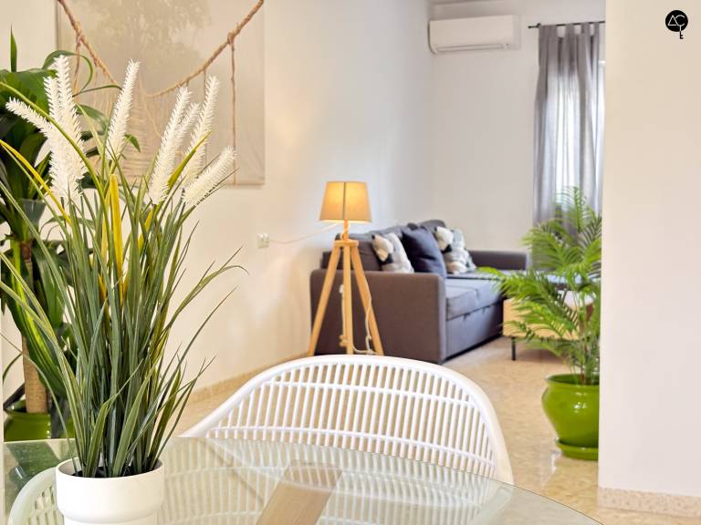 Rental apartment | Close to Cádiz Cathedral — photo 3
