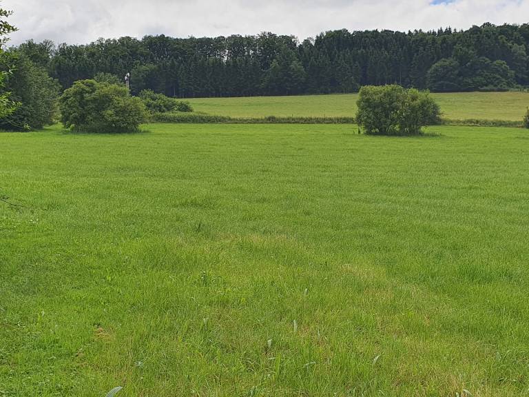 foto14