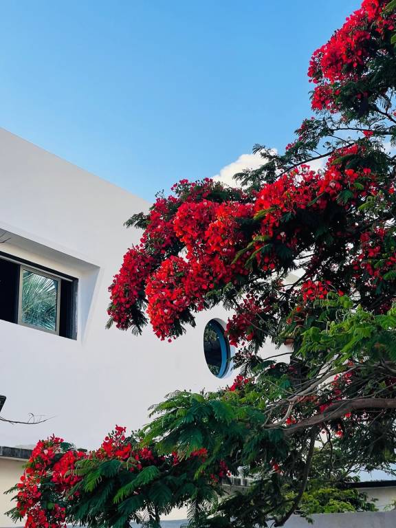 Appartement Antisiranana