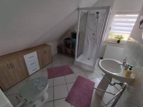 foto10