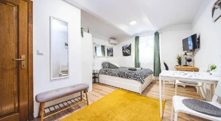 Beautiful rental apartment with garden | Next to Ban Jelačić Square | Good for workation | Dogs allowed in Zagreb