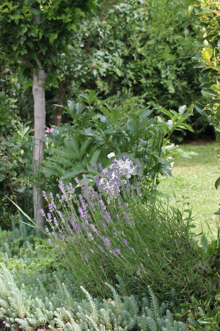 foto30