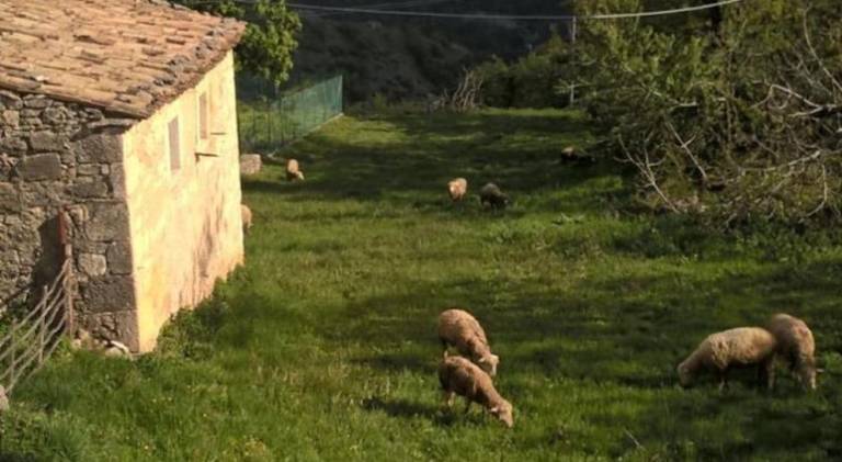 foto6