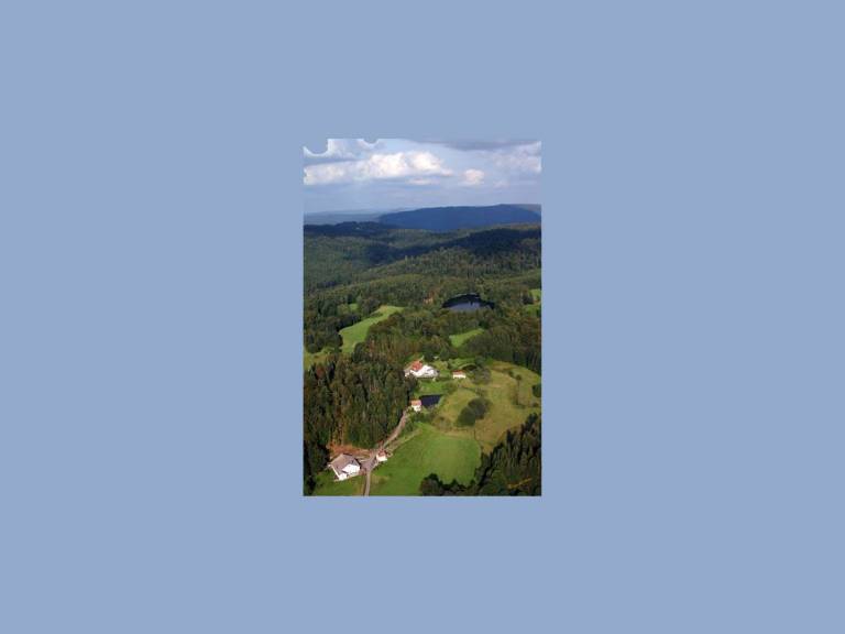 foto20