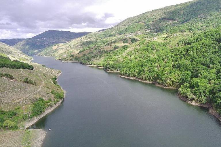foto45