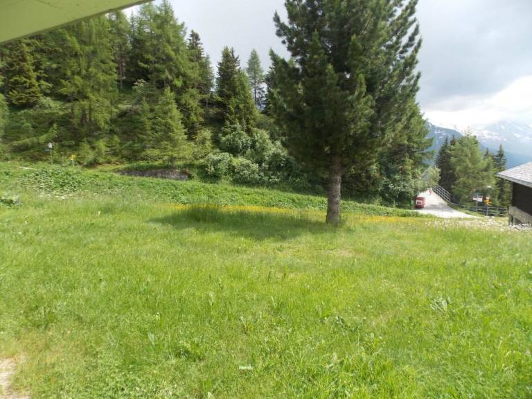Holiday apartment with 2 rooms for 6 persons — photo 5