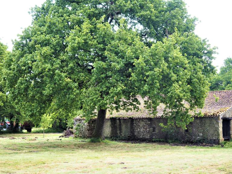 Cottage Sallertaine