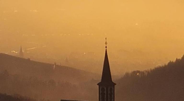 Holiday apartment | Pets allowed in Riquewihr