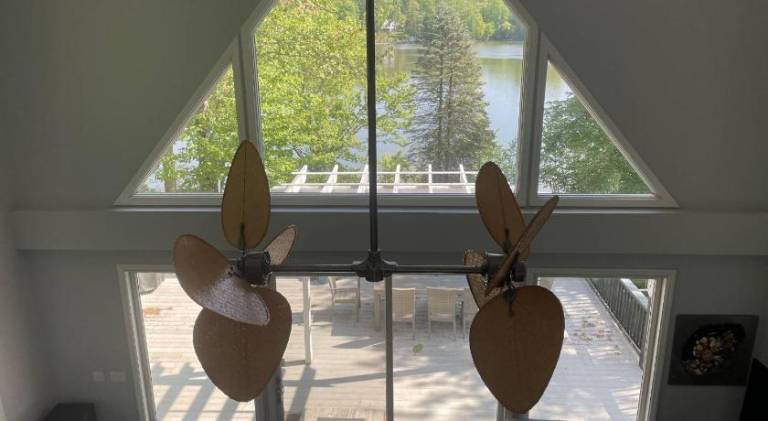 foto38