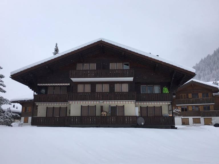 Ferienwohnung Lenk