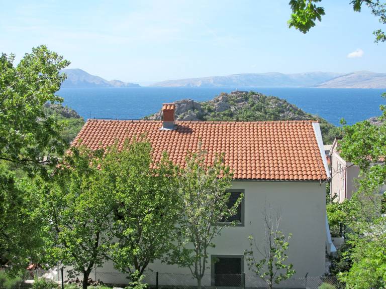 Novak — photo 2