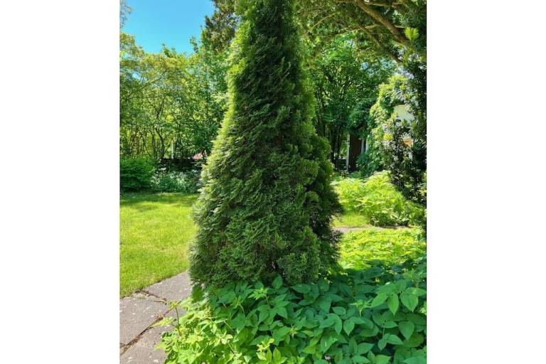 House with yard, patio & barbecue | Pets are welcome — photo 3