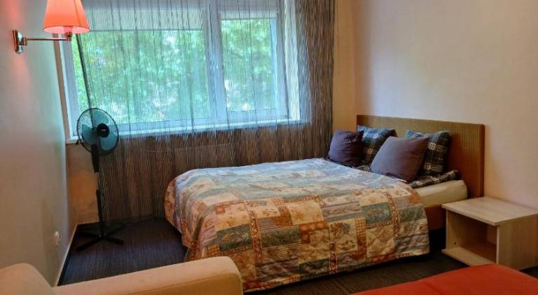 Apartment with 2 rooms for 6 persons in Kaunas