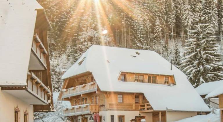 Holiday apartment with terrace in Feldberg