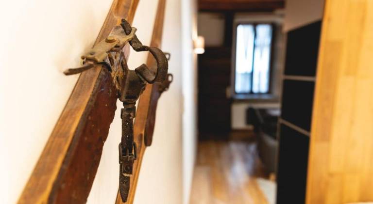 Holiday apartment | Pets are welcome — photo 5