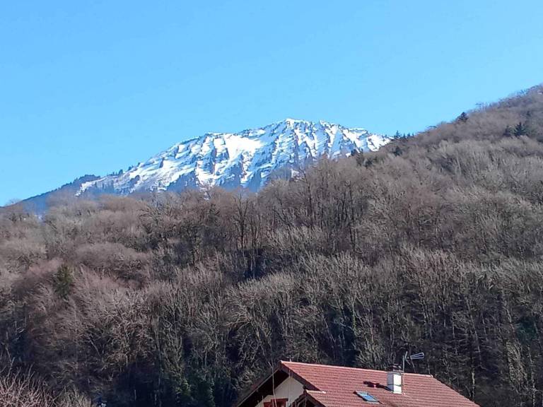 Maison de vacances Faverges